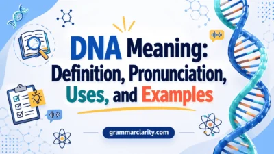 DNA Meaning: Definition, Pronunciation, Uses, and Examples