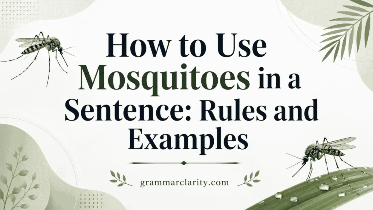 How to Use Mosquitoes in a Sentence: Rules and Examples