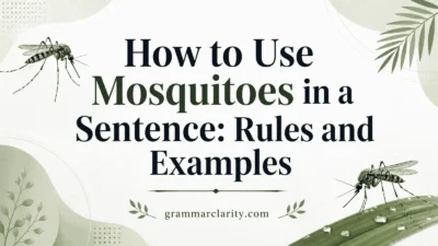 How to Use Mosquitoes in a Sentence: Rules and Examples
