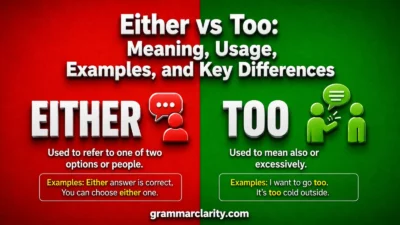 Either vs Too: Meaning, Usage, Examples, and Key Differences