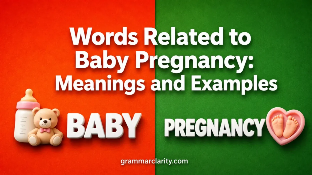 Words Related to Baby Pregnancy: Meanings and Examples