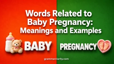 Words Related to Baby Pregnancy: Meanings and Examples